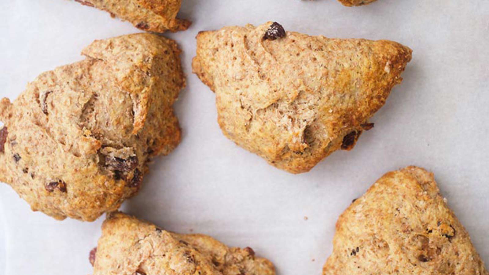 Just-baked Raisin Scones laying on a parchment-lined baking pan.