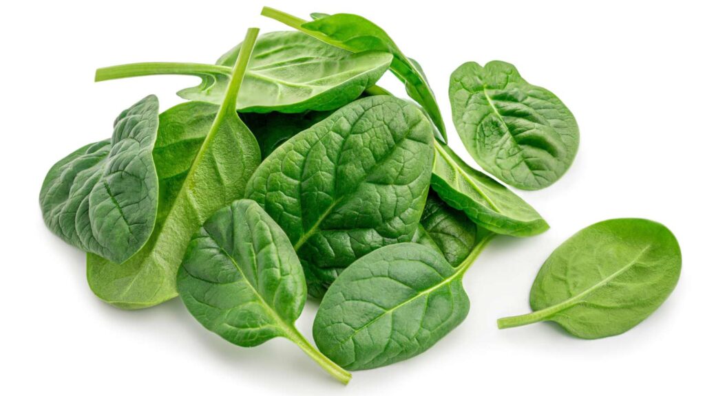 Fresh spinach leaves on a white background.