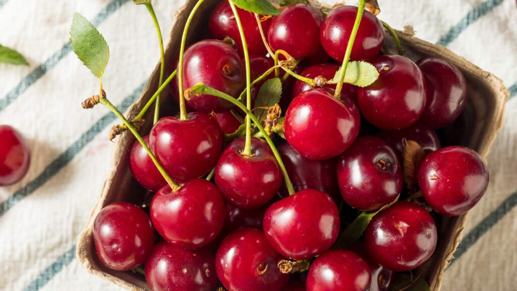 Raw Red Organic Tart Cherries Ready to Eat