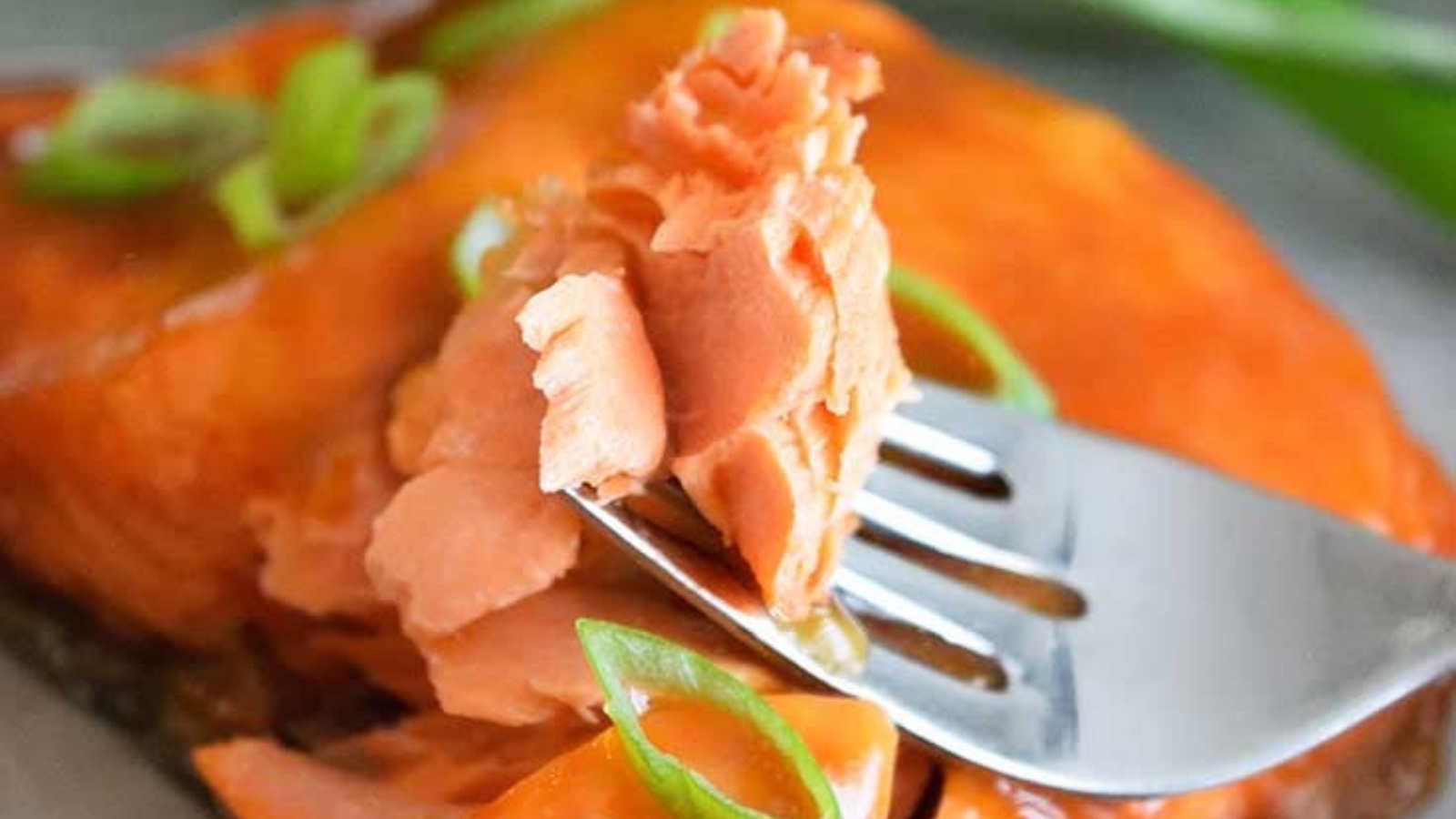 A closeup of a teriyaki salmon fillet. A fork lifts a bit of it up.