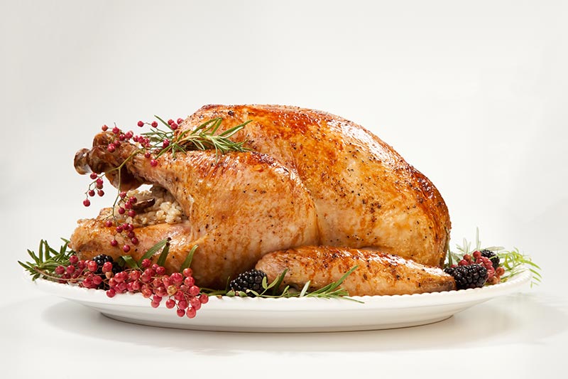 A whole, roasted turkey on a white platter.