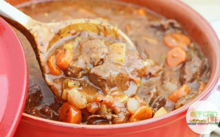 A ladle spoons some venison stew from a large red pot.