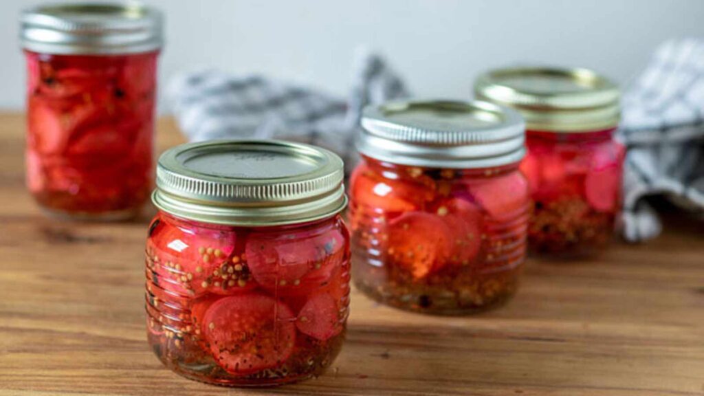 For canning jars filled with Quick Pickled Radishes sitting on a wood countertop.