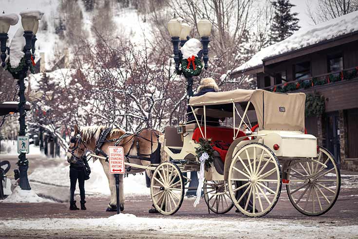 An old fashioned horse and carriage in the snow.