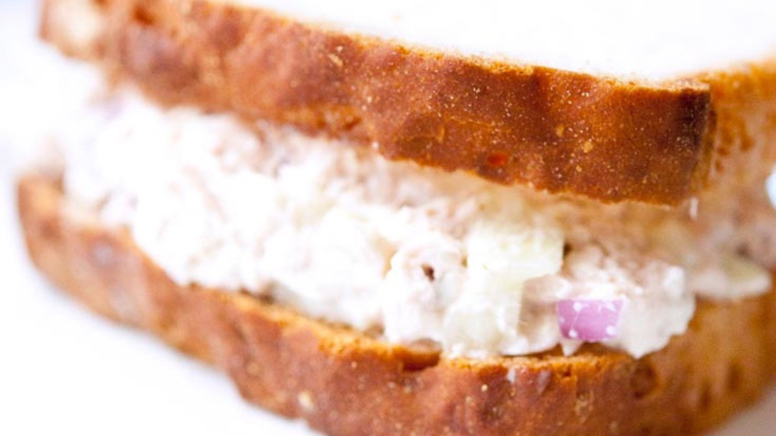 A closeup of a tunafish sandwich on a white background.