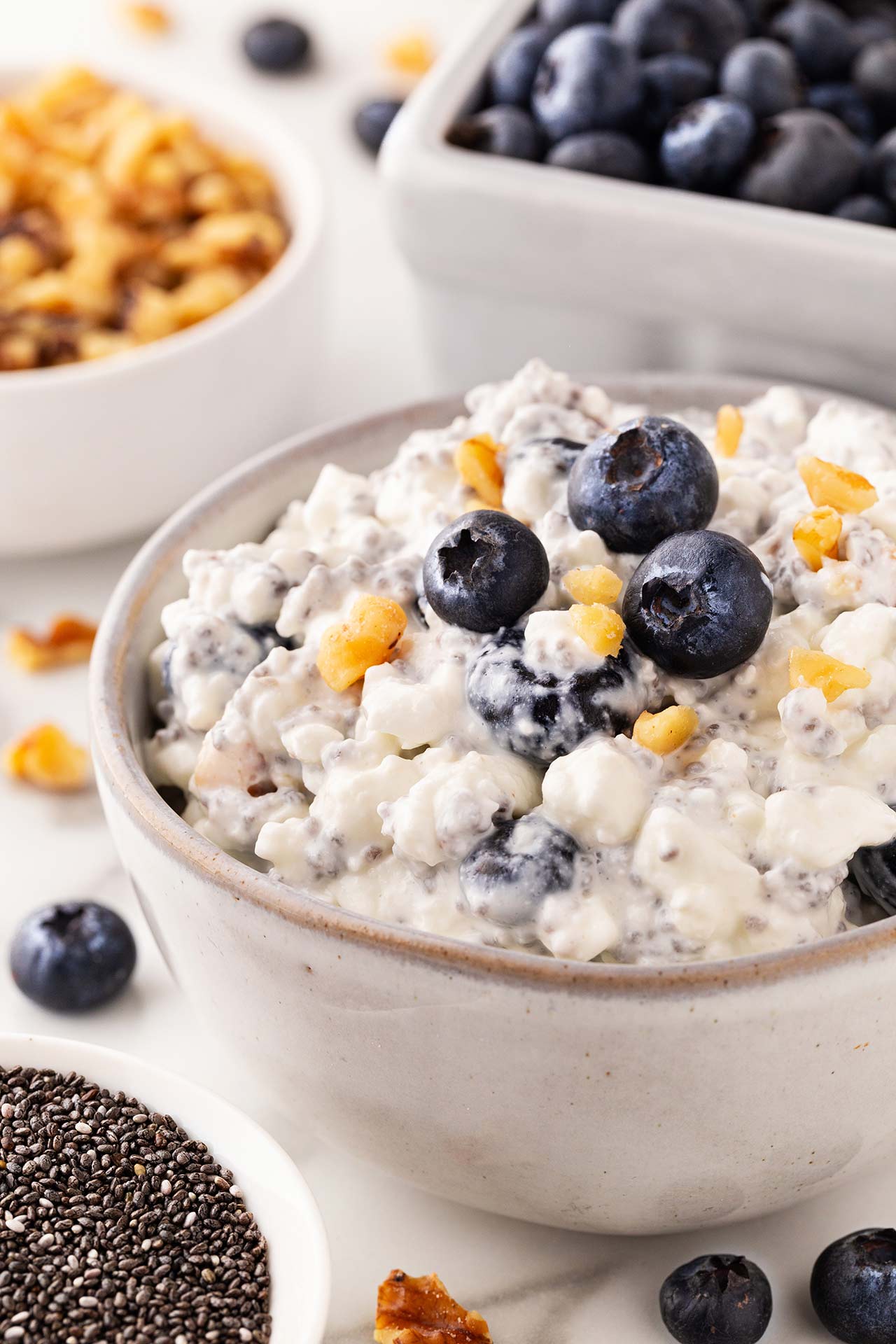 A side view of blueberry cottage cheese in a white bowl.