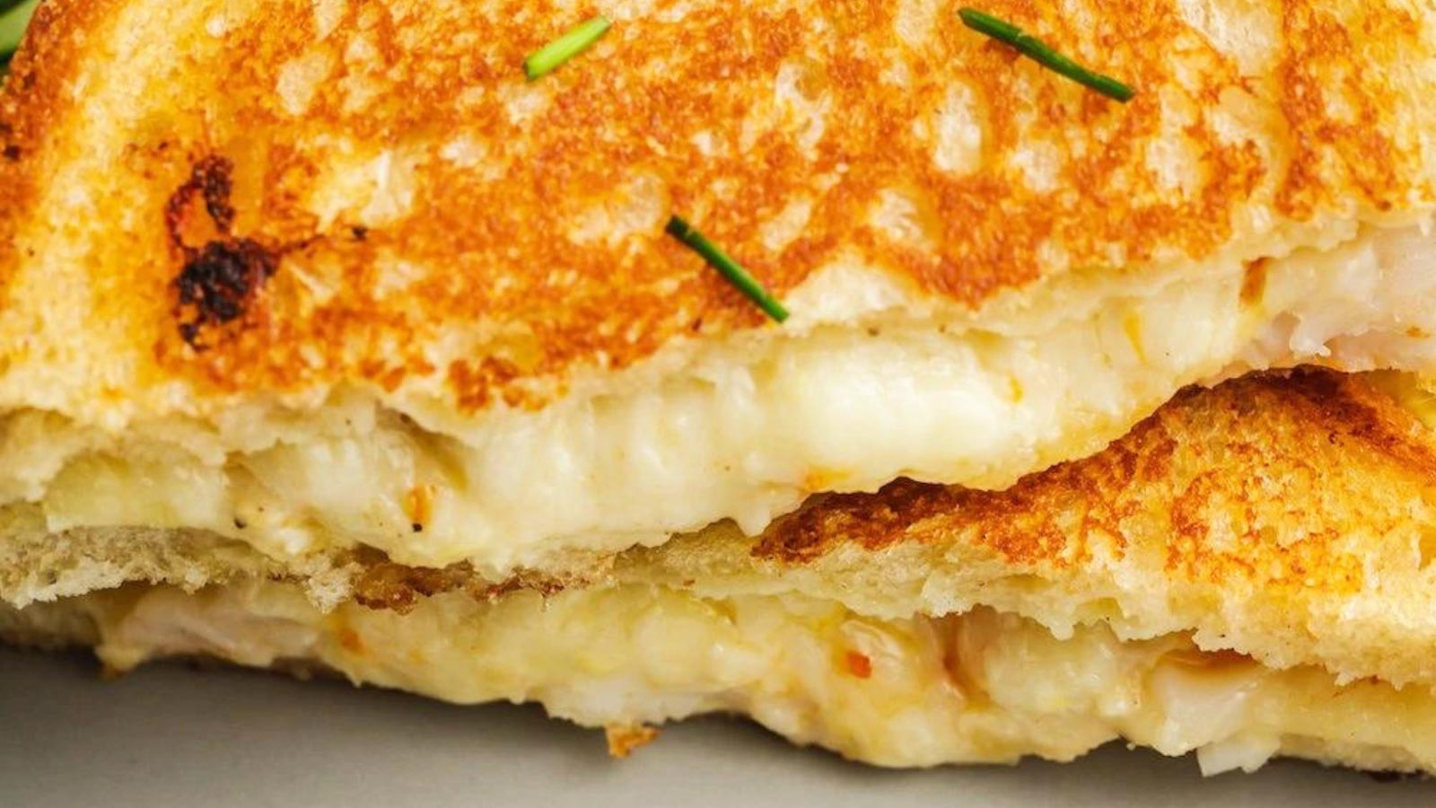 A closeup of a lobster grilled cheese sandwich.