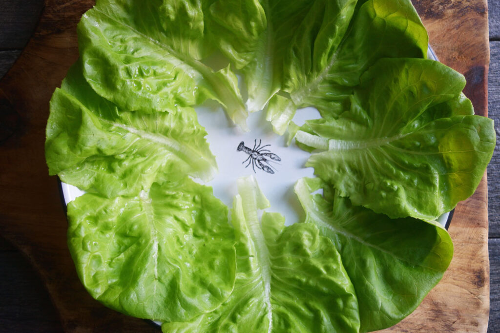 Leaves laid out on a white platter.