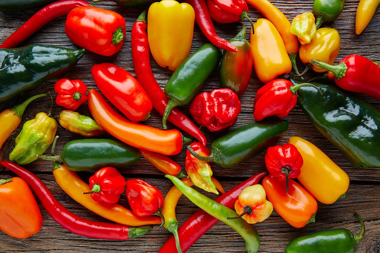 Mexican hot chili peppers colorful mix habanero poblano serrano jalapeno on wood.