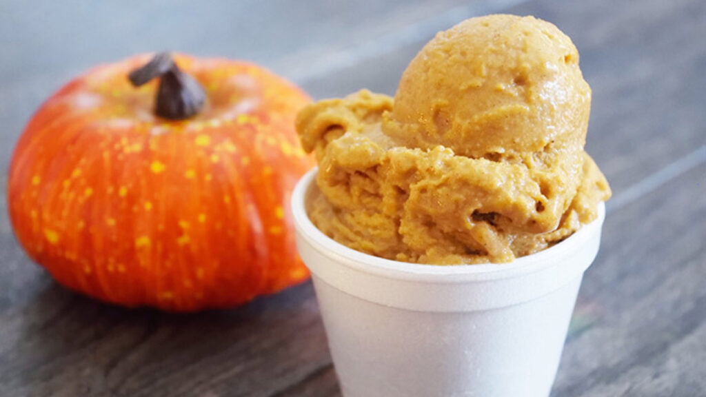 The finished Pumpkin Ice Cream recipe in a white bowl. A small pumpkin sits to the left.