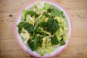 Lettuce in a salad bowl.