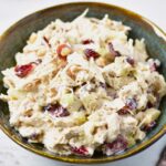 A bowl filled with Cranberry Chicken Salad.