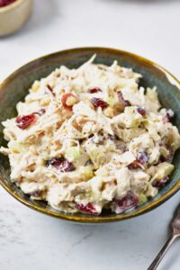A bowl filled with Cranberry Chicken Salad.