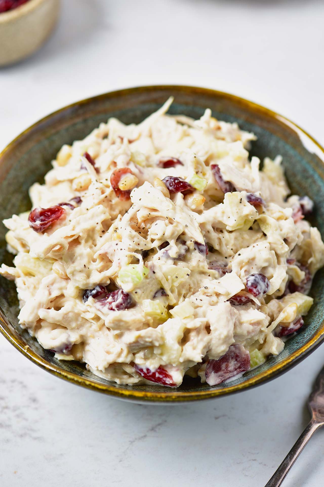A bowl filled with Cranberry Chicken Salad.