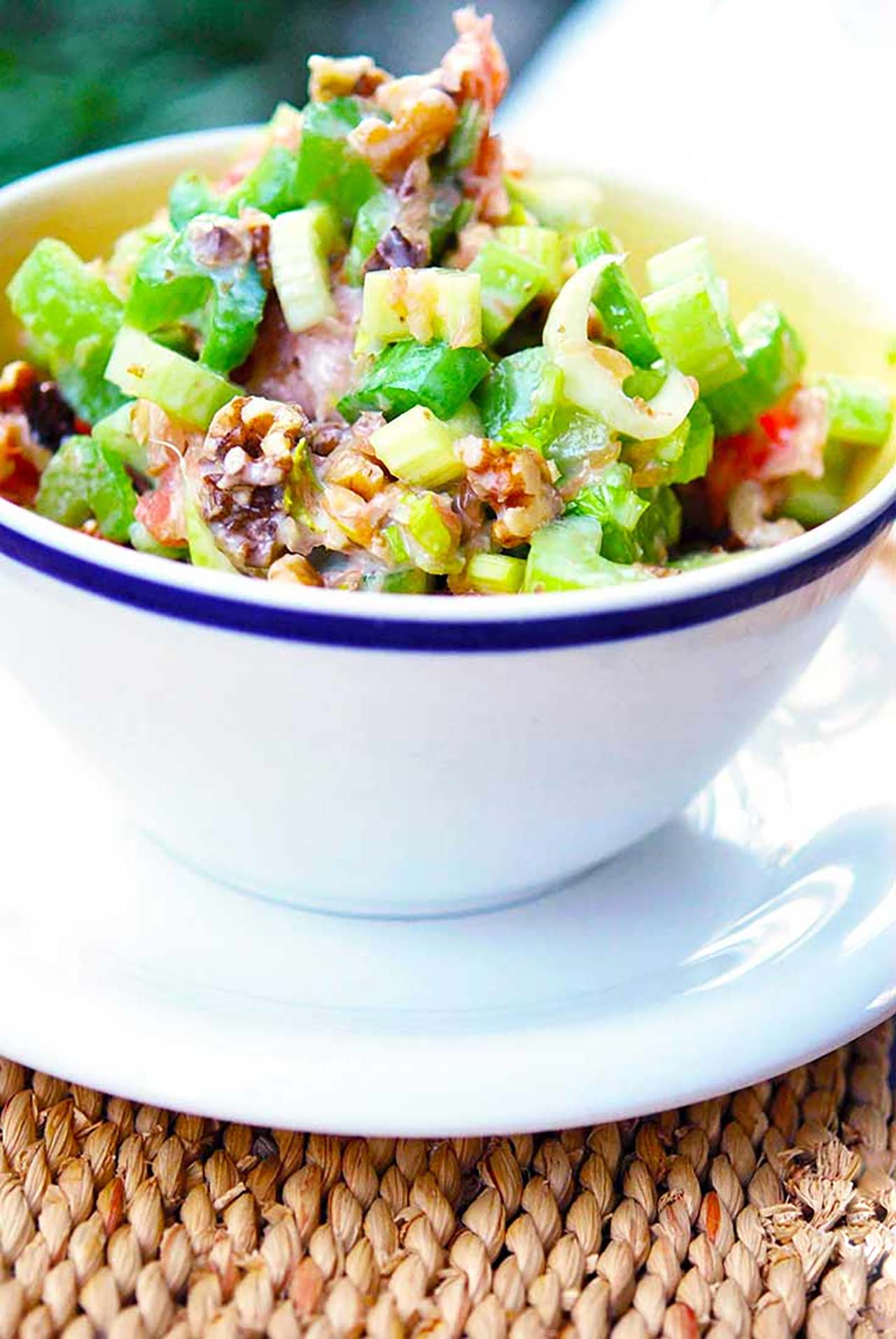 Vertical orientation. Front view. White bowl filled with Celery Salad.