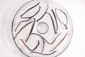 Dried vanilla bean in a dehydrator tray.
