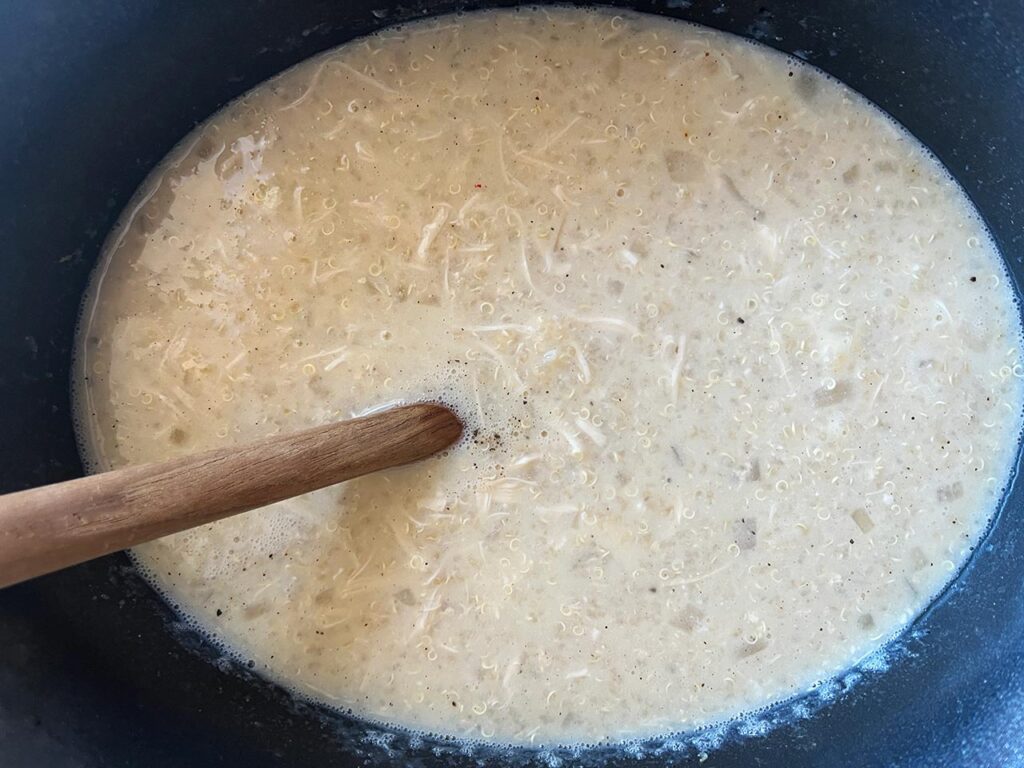 Shredded chicken added back into soup along with salt and pepper. Overhead focus.