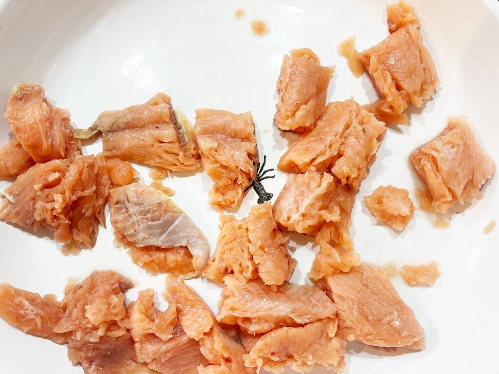 Raw salmon cut into chunks for Slow Cooker Salmon Stew With Potatoes.