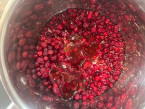Cranberries, honey, and water in a pot.